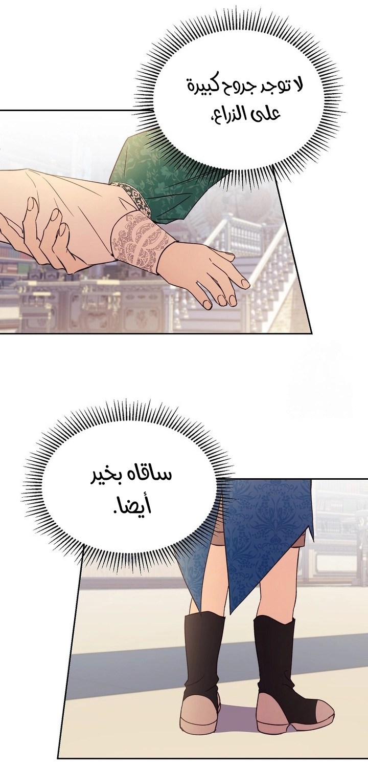 الصفحة 37