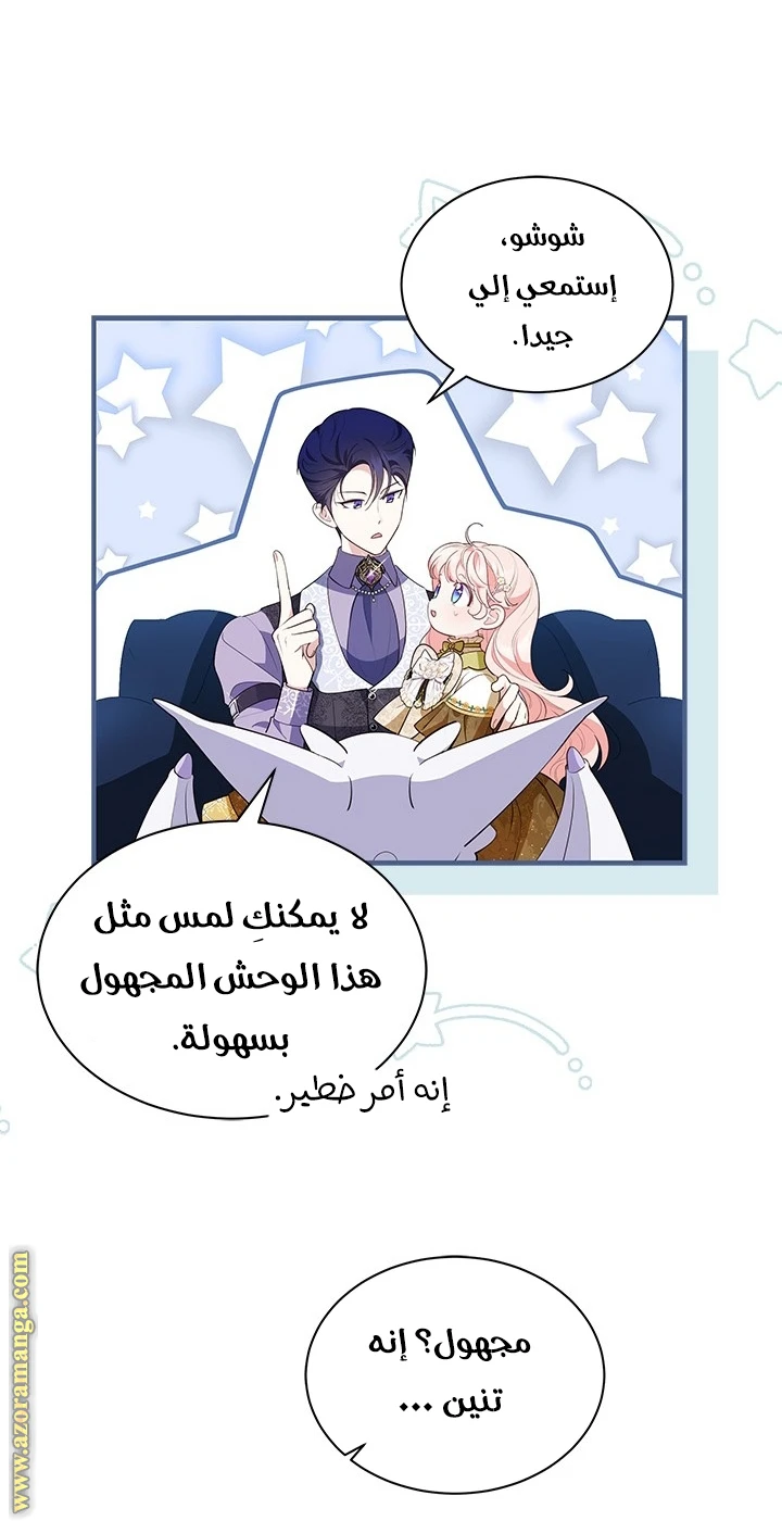 الصفحة 17