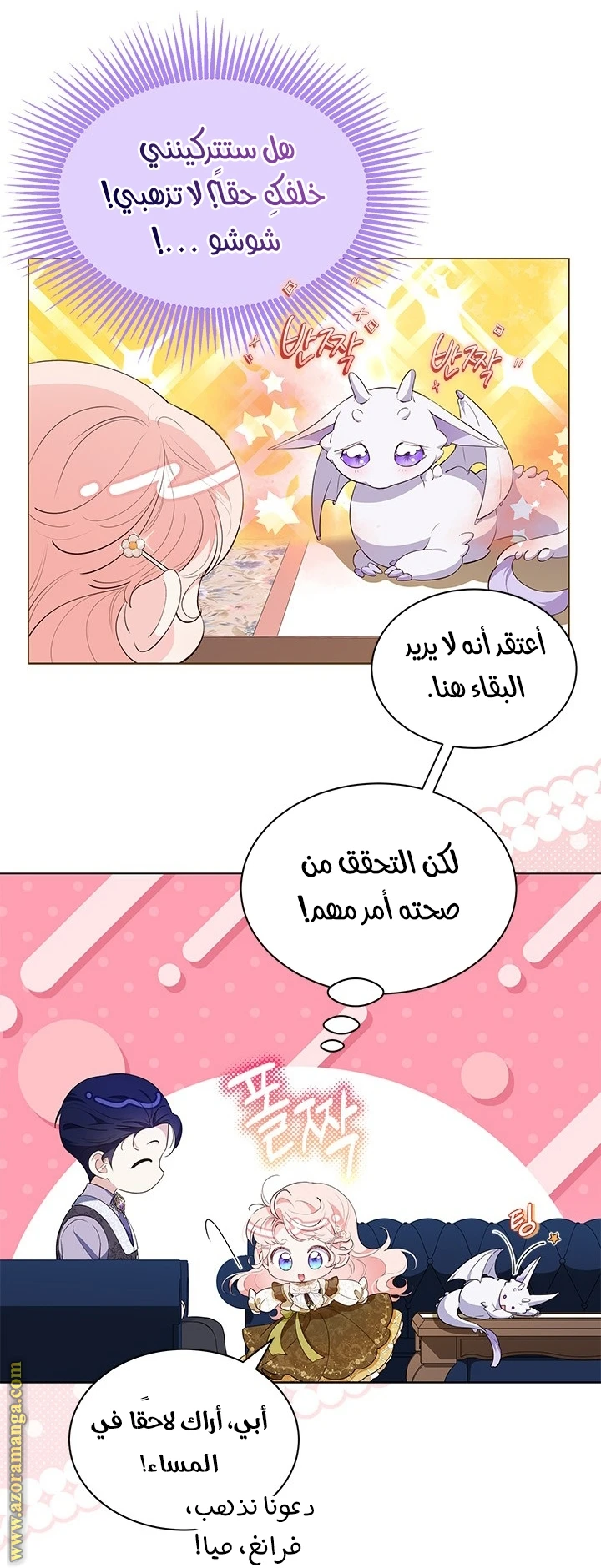 الصفحة 29