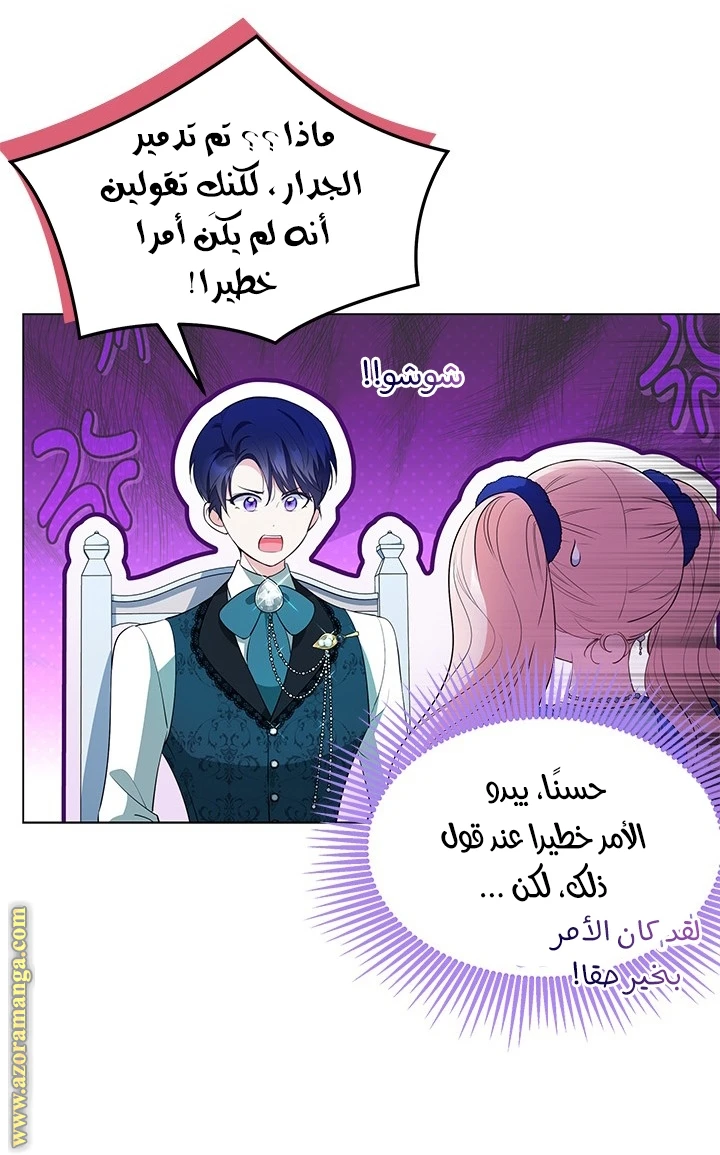 الصفحة 43