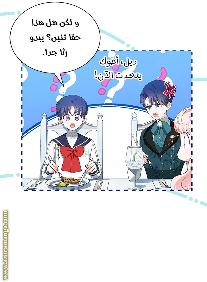 الصفحة 44