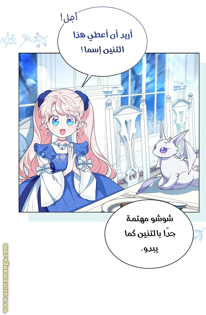 الصفحة 48