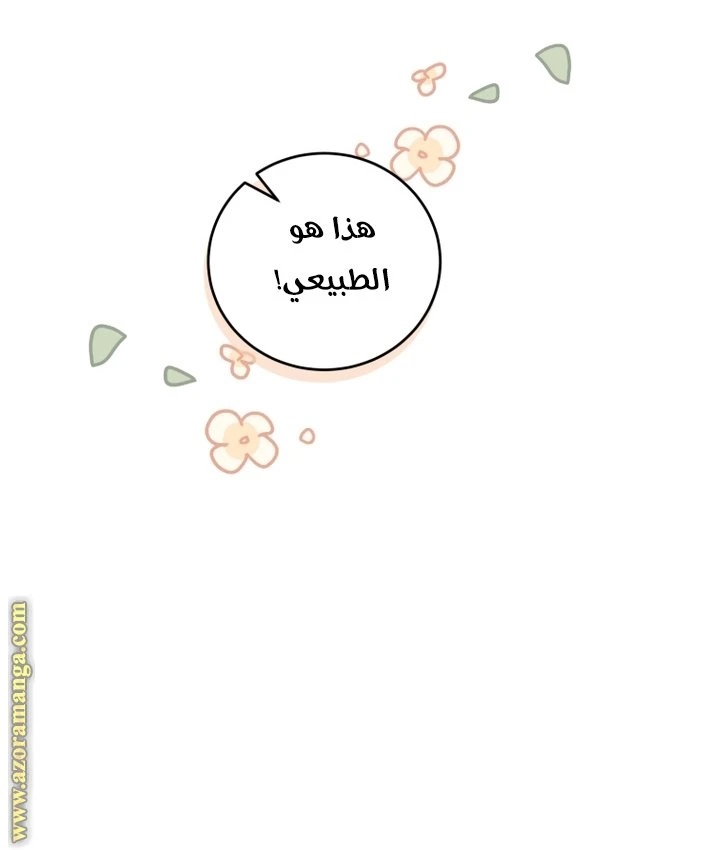 الصفحة 35