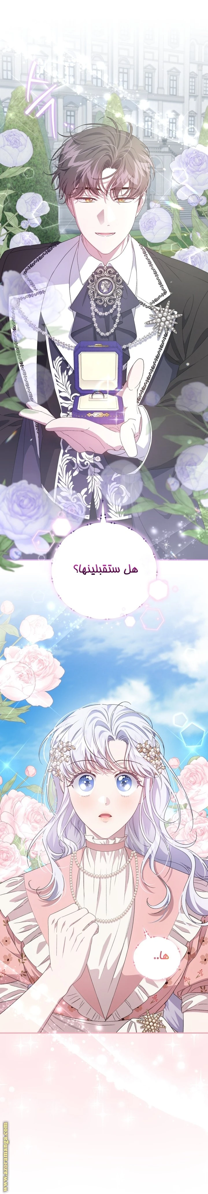 الصفحة 37
