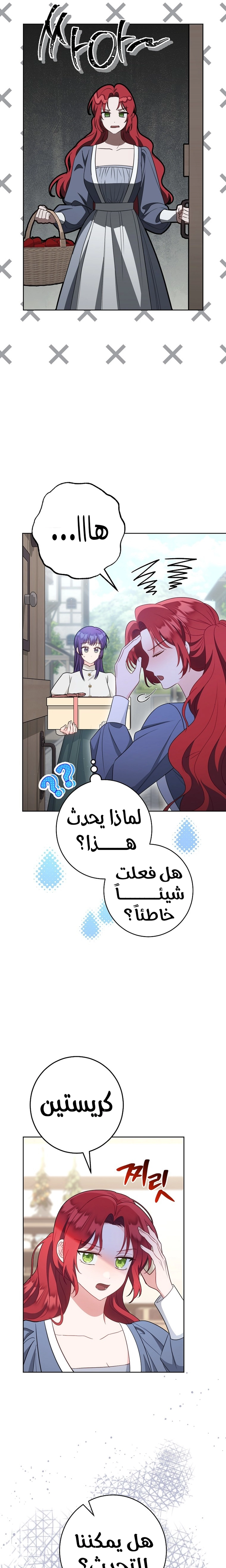 الصفحة 17