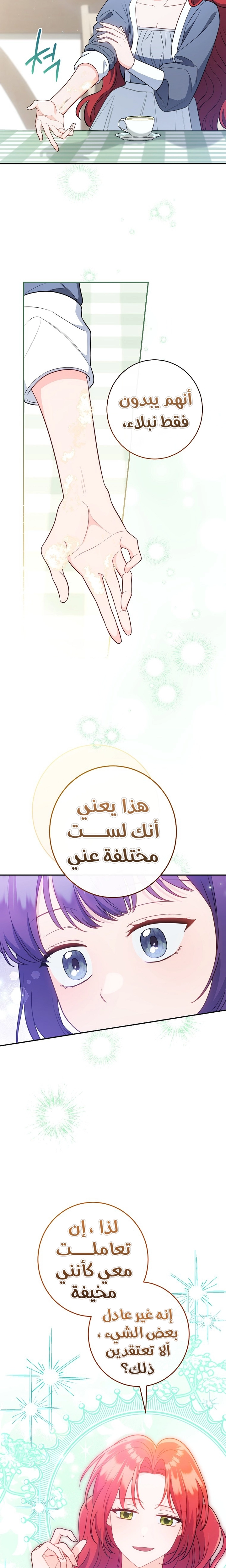 الصفحة 25