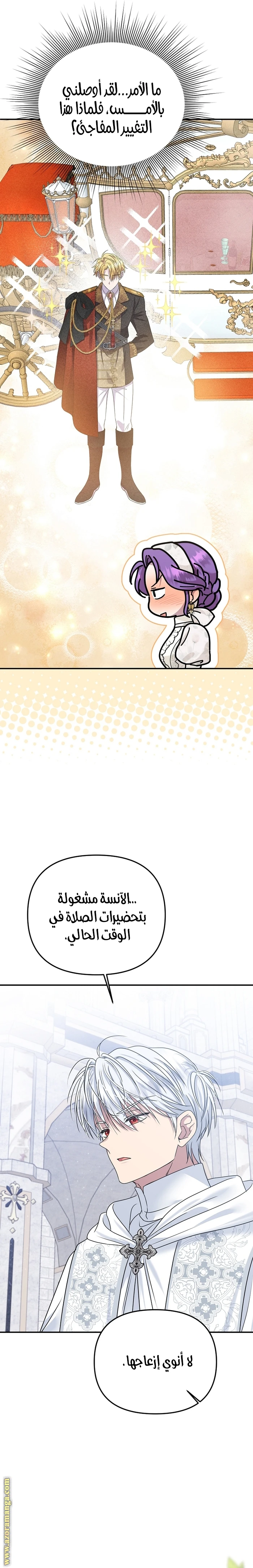 الصفحة 3