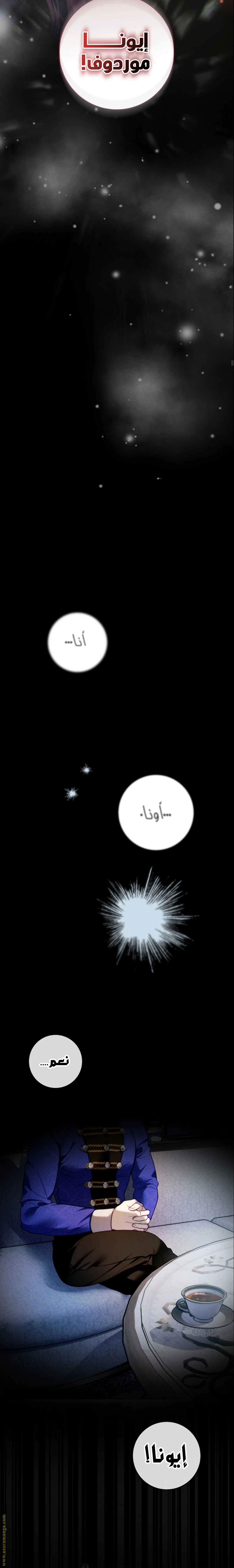 الصفحة 17