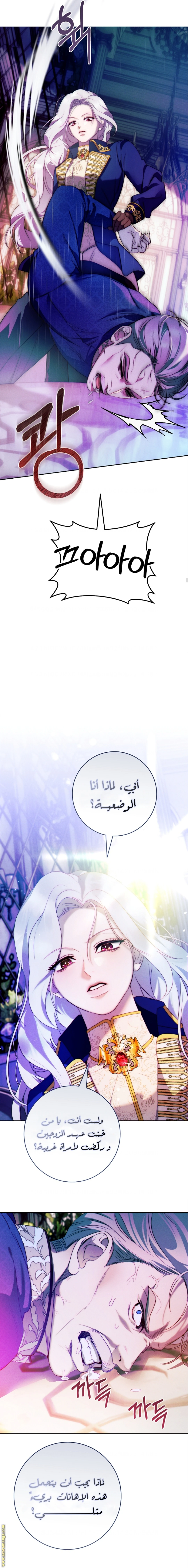 الصفحة 22