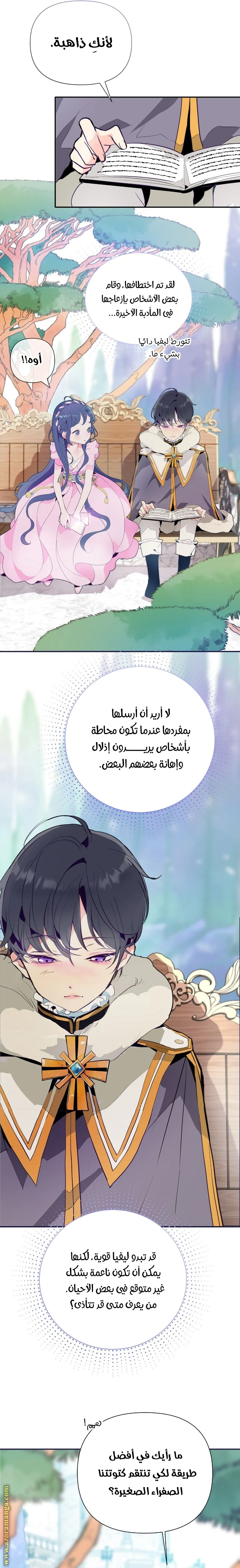 الصفحة 7