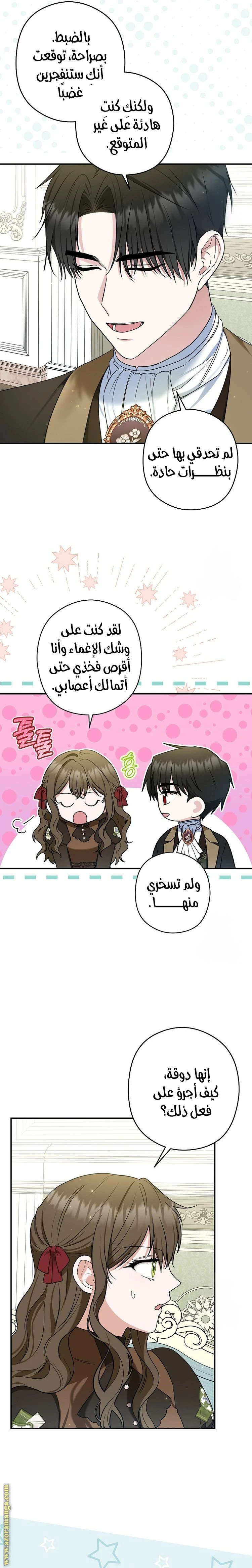 الصفحة 19