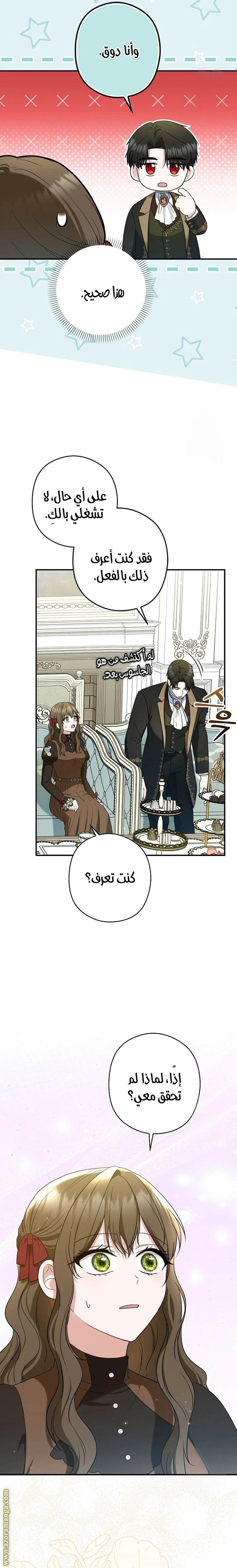الصفحة 20