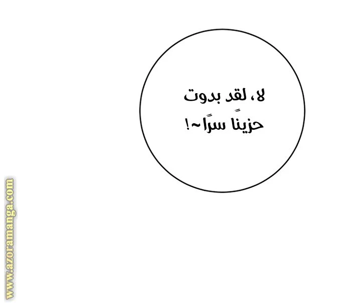 الصفحة 41