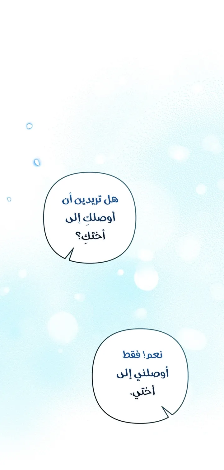 الصفحة 28