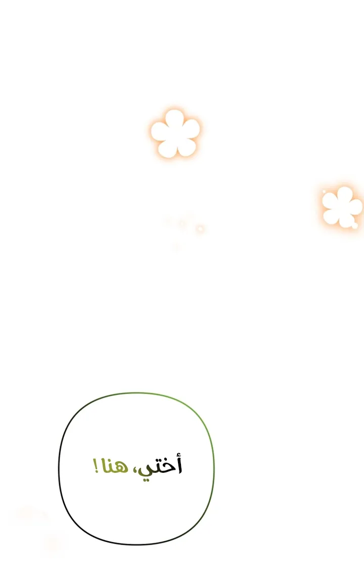 الصفحة 52