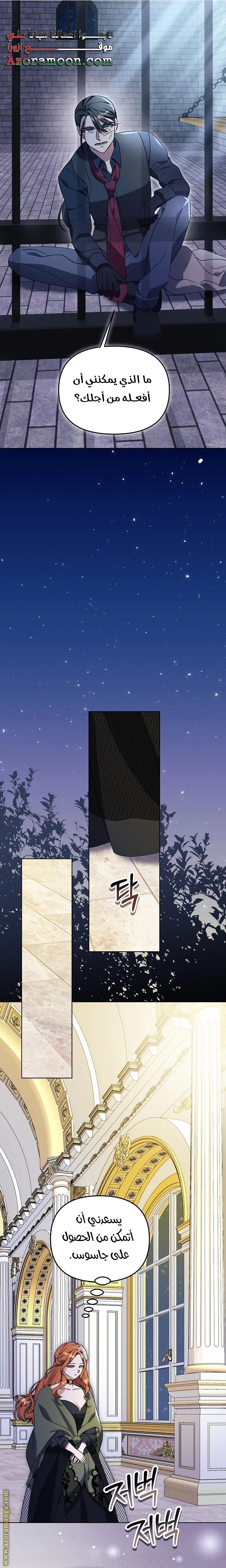 الصفحة 17