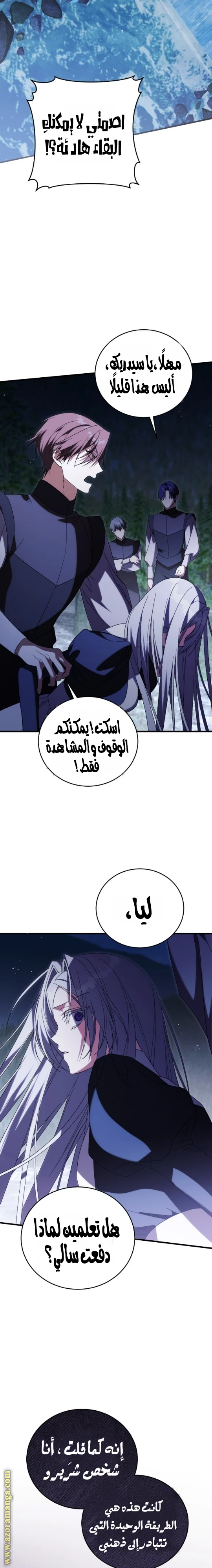 الصفحة 25