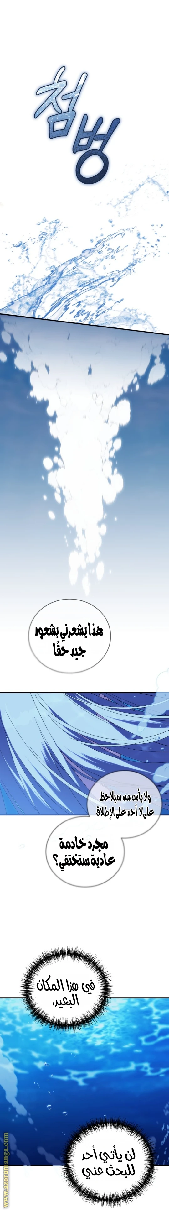 الصفحة 27