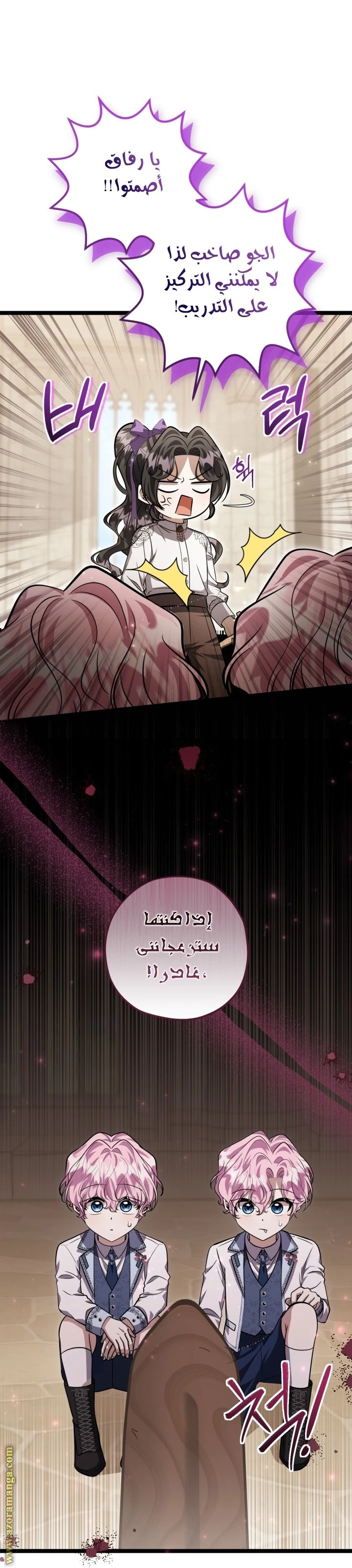 الصفحة 13