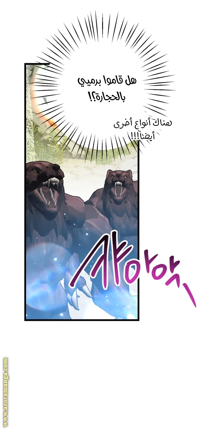 الصفحة 19