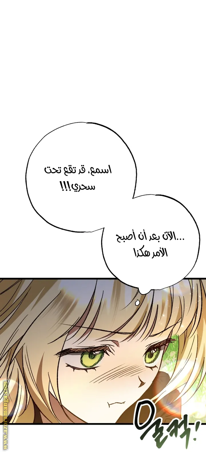 الصفحة 39