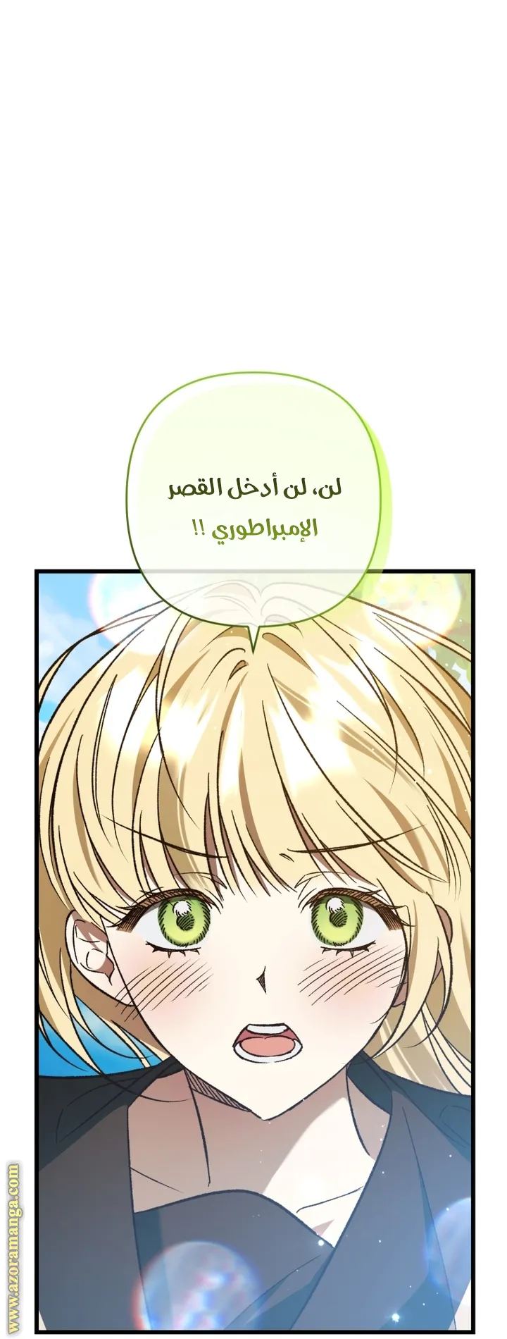 الصفحة 41