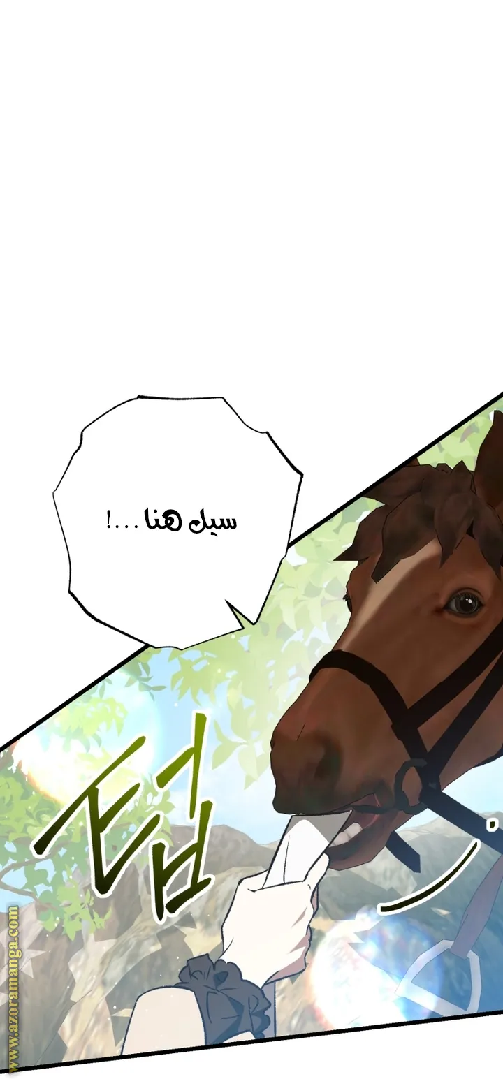الصفحة 44