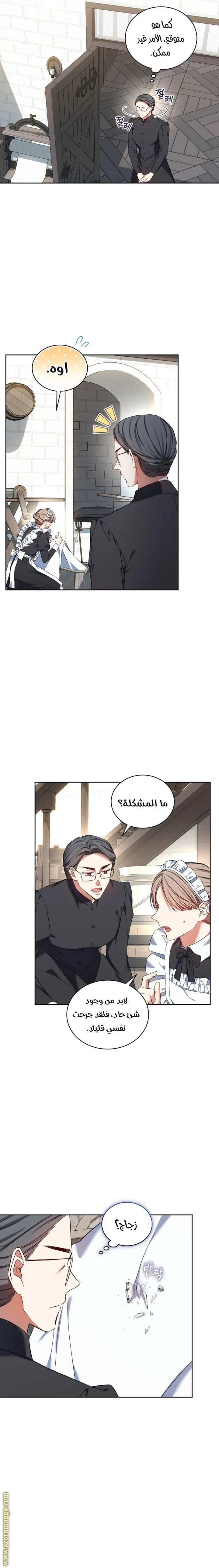 الصفحة 12