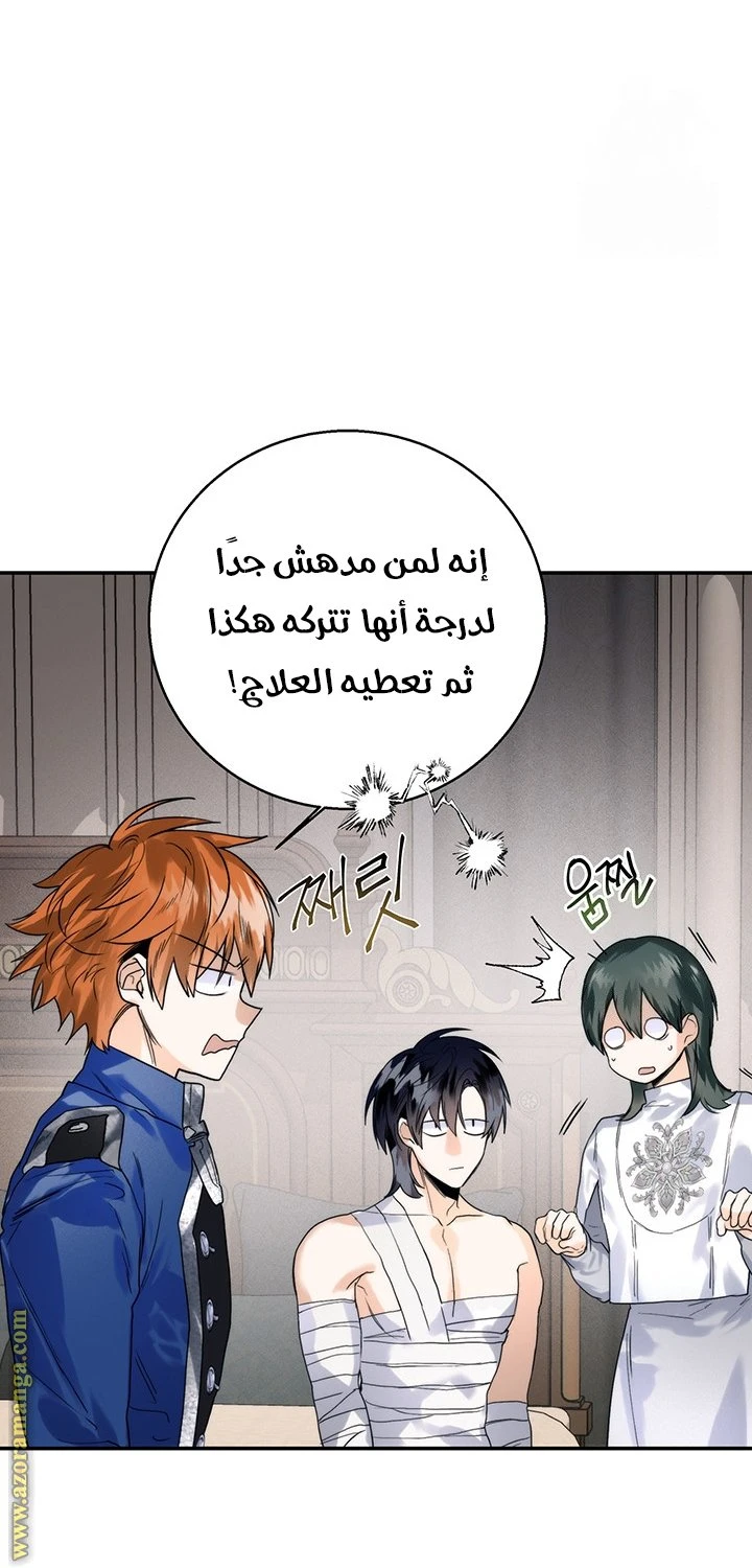 الصفحة 20