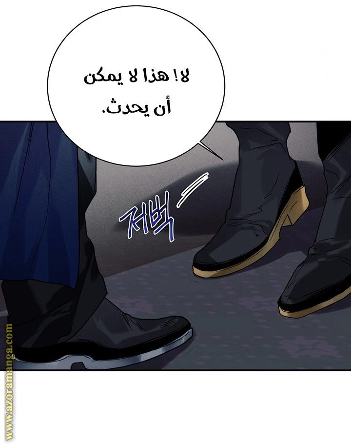 الصفحة 43