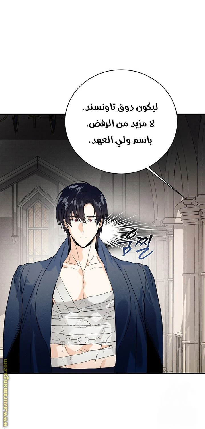 الصفحة 46
