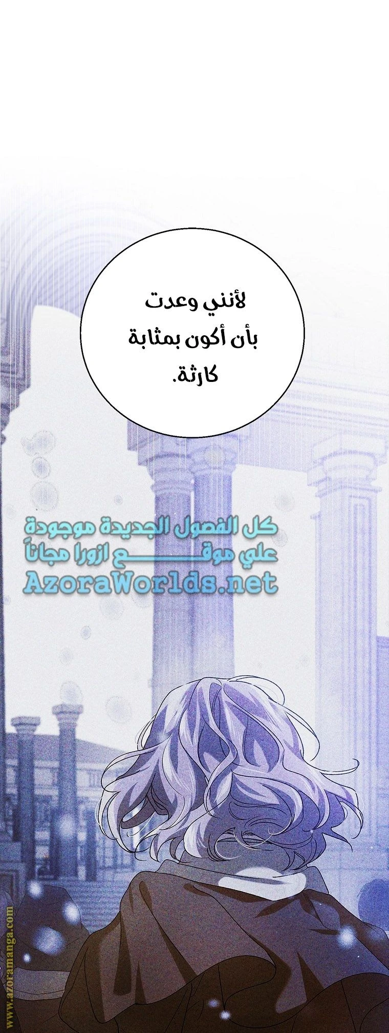 الصفحة 25