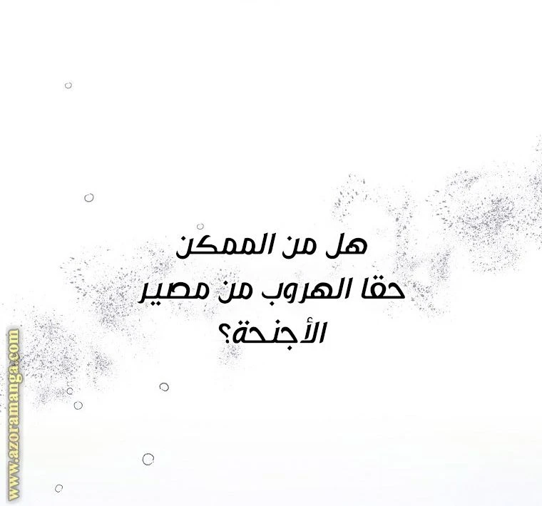 الصفحة 40