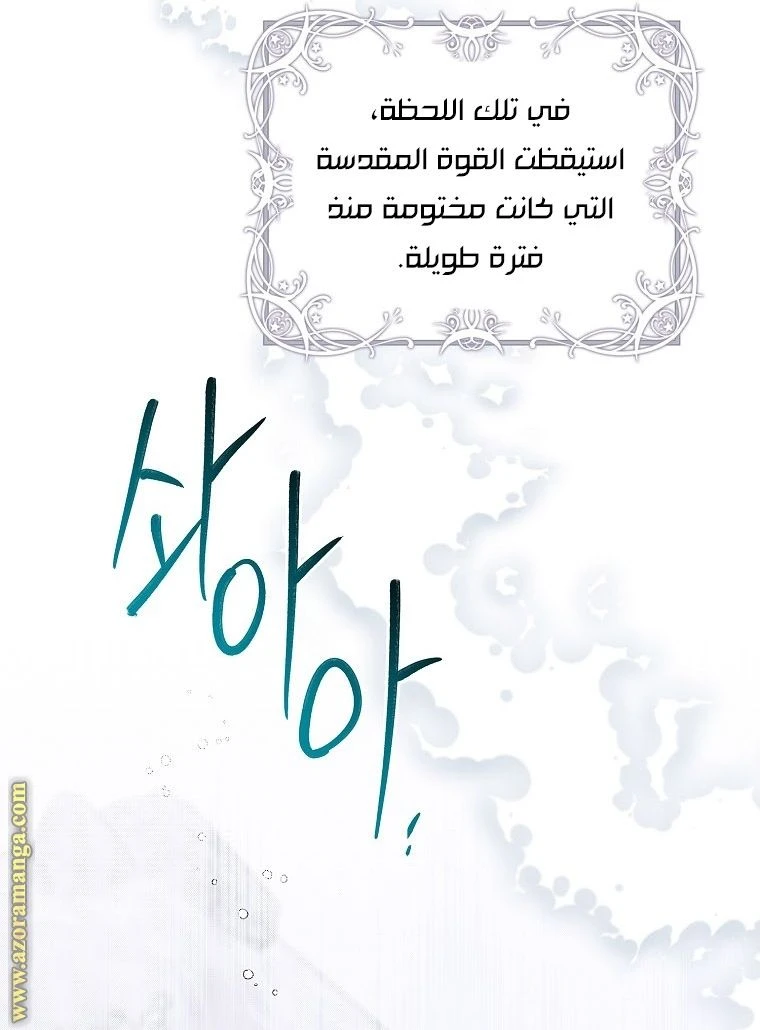 الصفحة 52