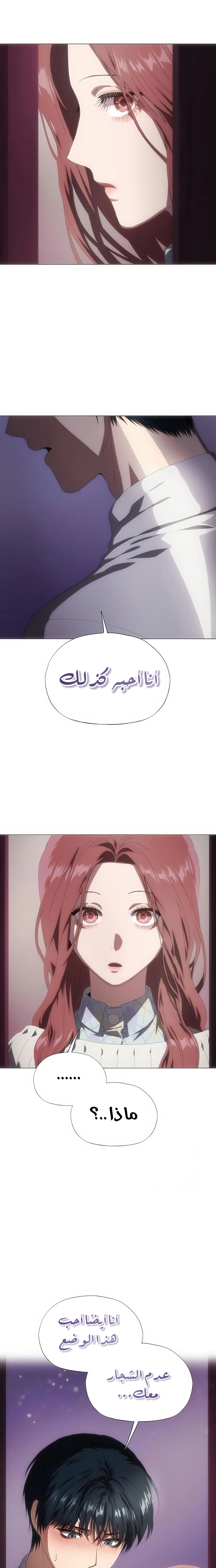 الصفحة 27