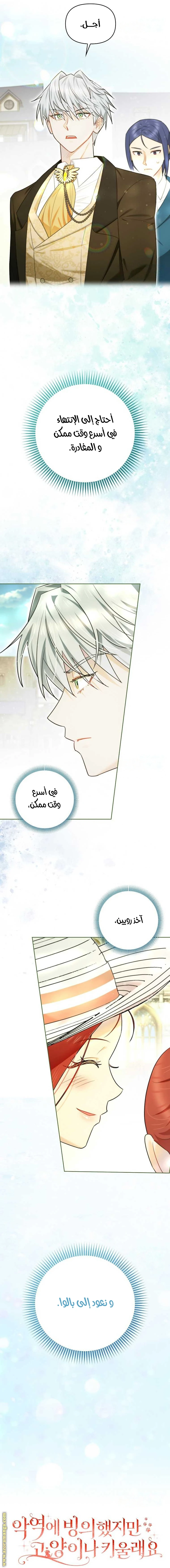الصفحة 21