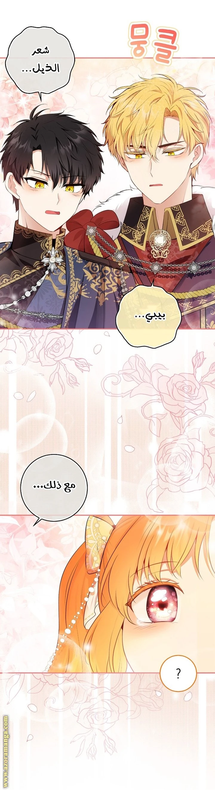الصفحة 16