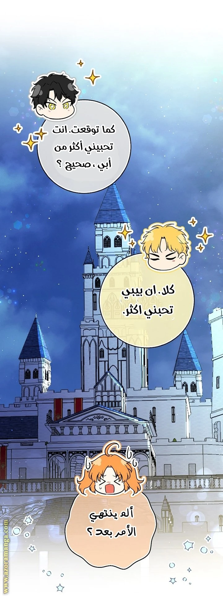 الصفحة 17