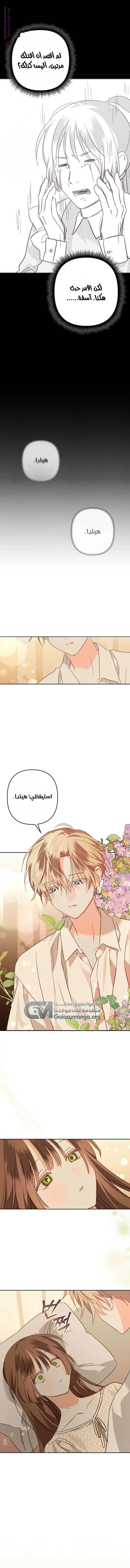 الصفحة 14