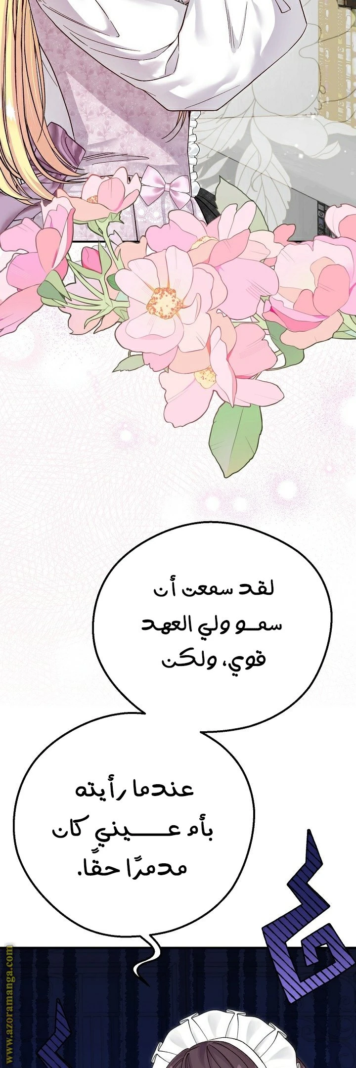 الصفحة 41