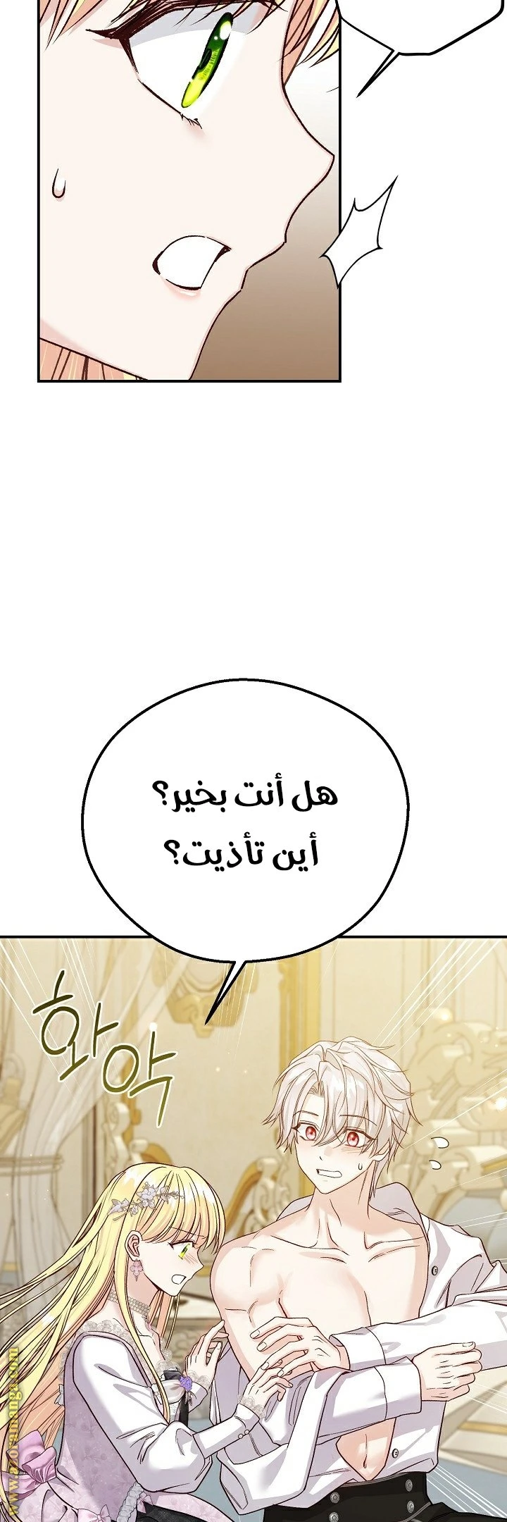 الصفحة 46