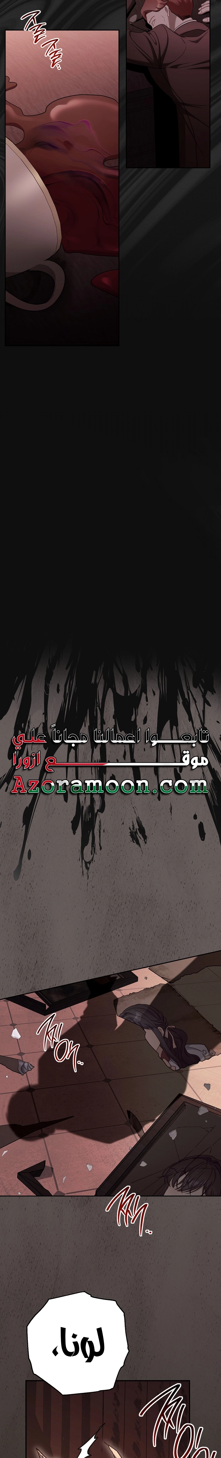 الصفحة 27