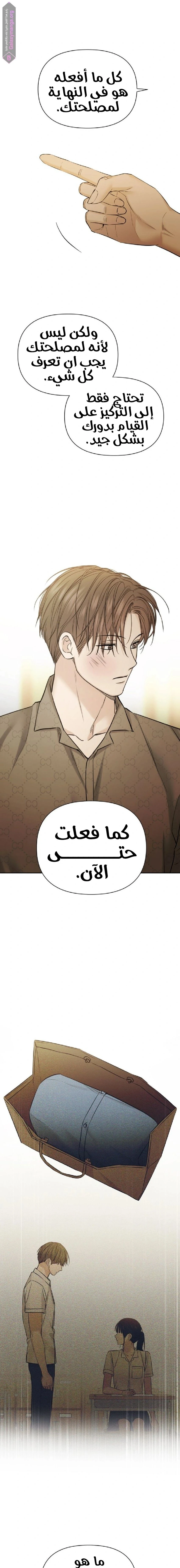 الصفحة 8