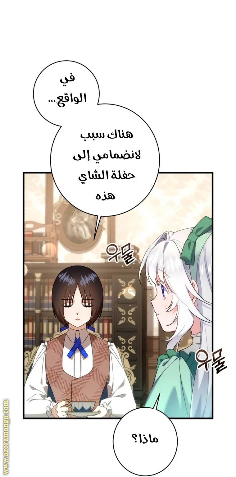 الصفحة 27