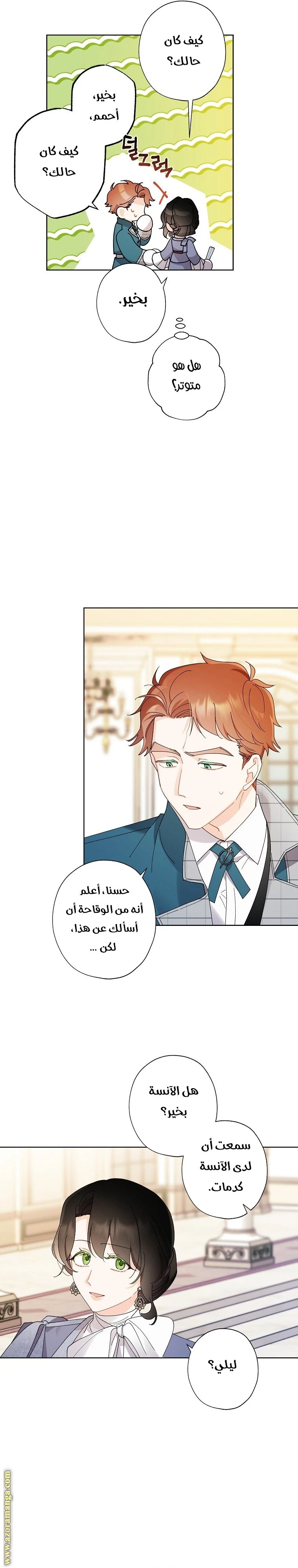 الصفحة 13