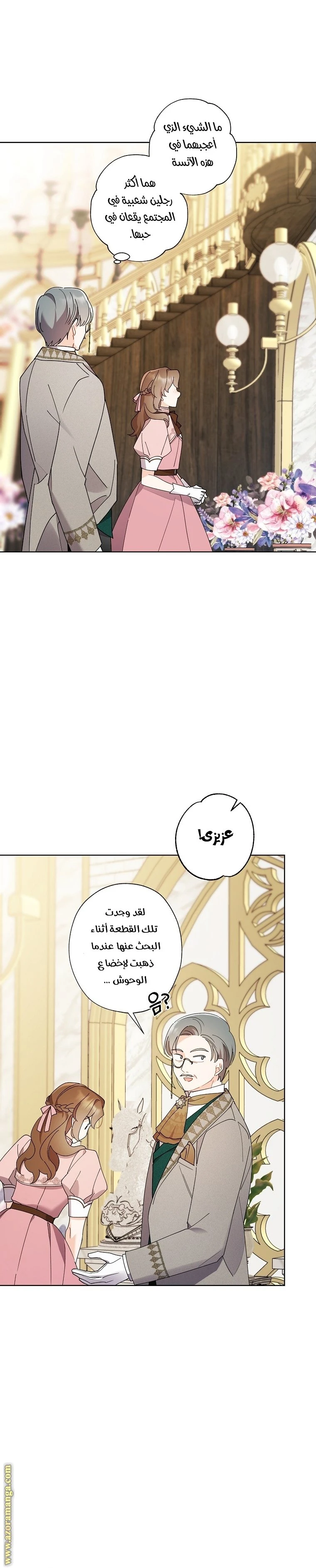 الصفحة 17