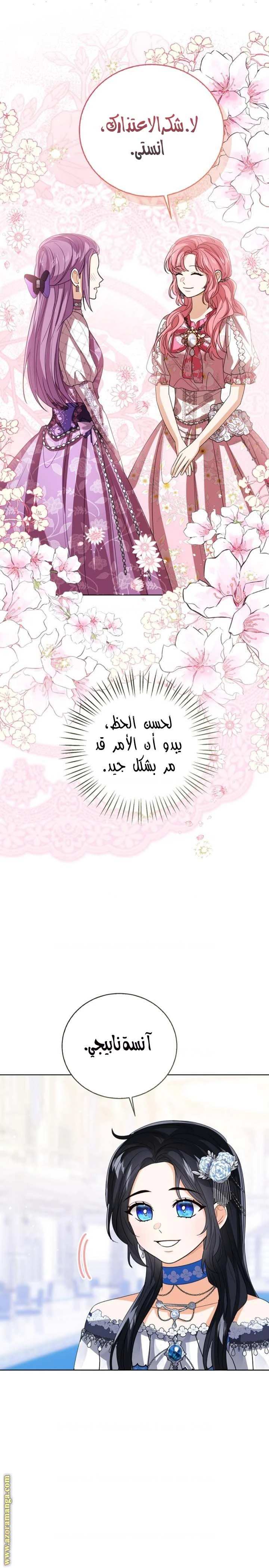 الصفحة 12