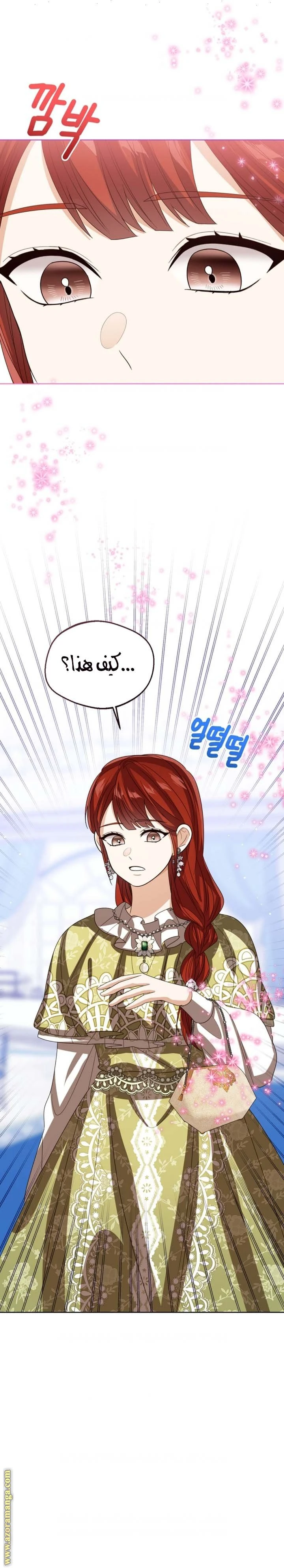 الصفحة 27