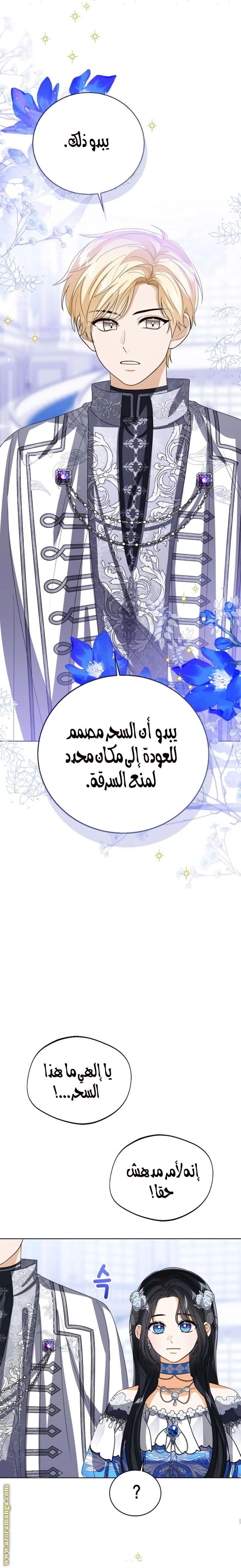 الصفحة 29