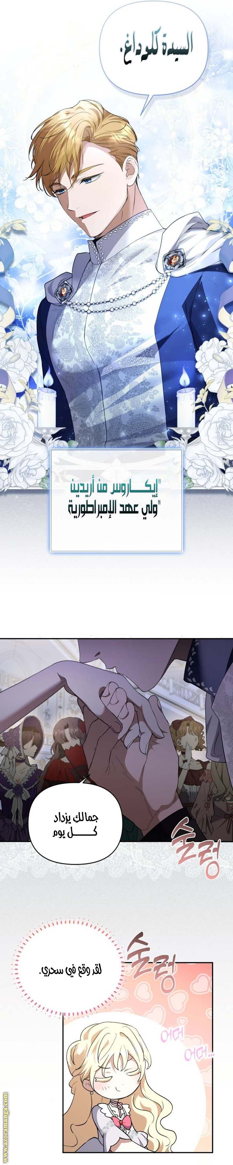 الصفحة 20